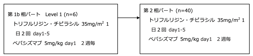 シェーマ