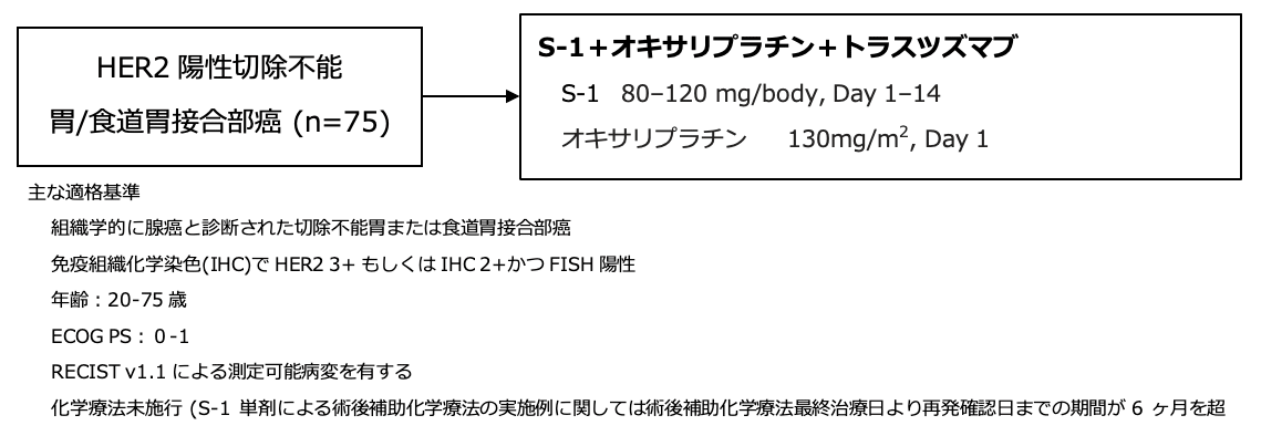 シェーマ
