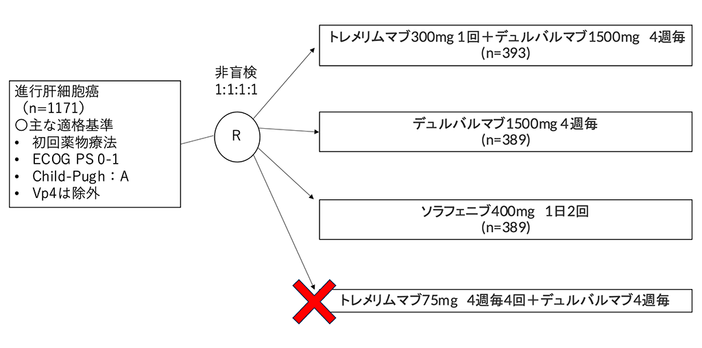 シェーマ