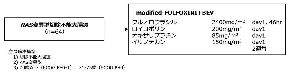 シェーマ