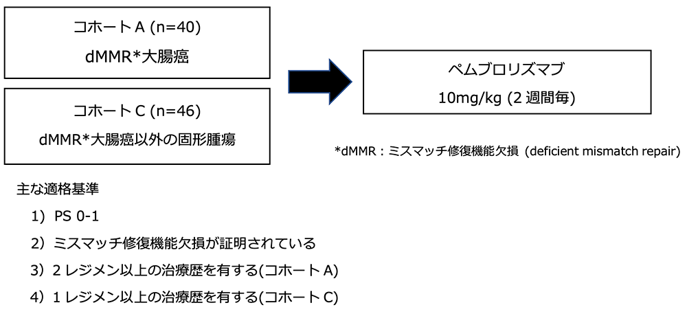 シェーマ