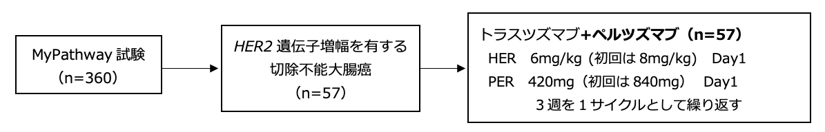 シェーマ
