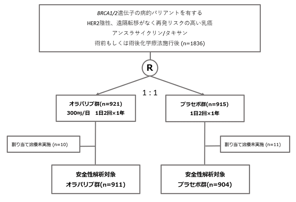シェーマ