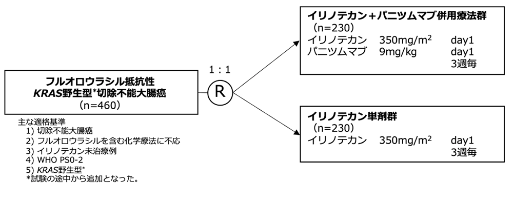 シェーマ